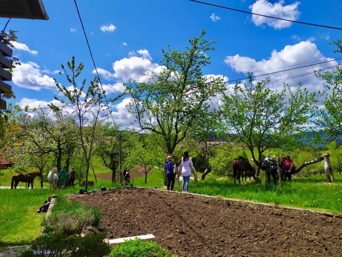 فيلا Tourist Farm Strle With Great Local Food تسركنيتسا المظهر الخارجي الصورة