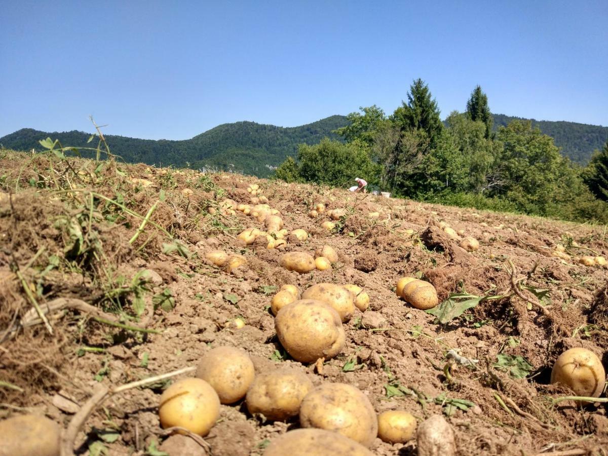 فيلا Tourist Farm Strle With Great Local Food تسركنيتسا المظهر الخارجي الصورة