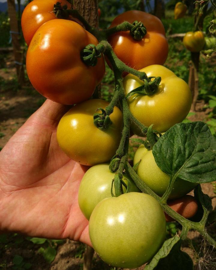 فيلا Tourist Farm Strle With Great Local Food تسركنيتسا المظهر الخارجي الصورة